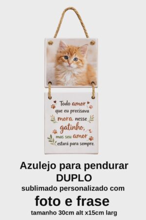 Azulejo 11