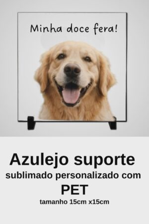 Azulejo 05